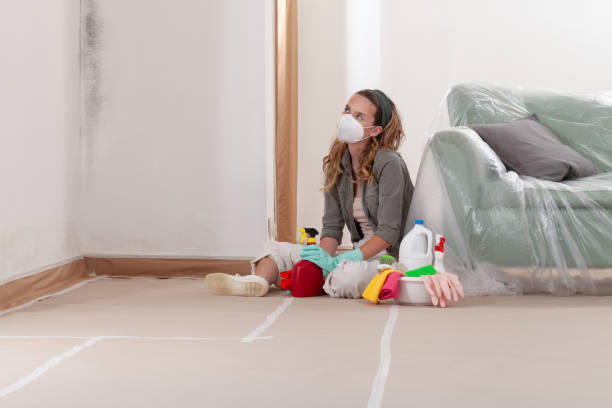 Reliable Mold Testing contractor in Sabillasville, MD by WQB Mold Removal